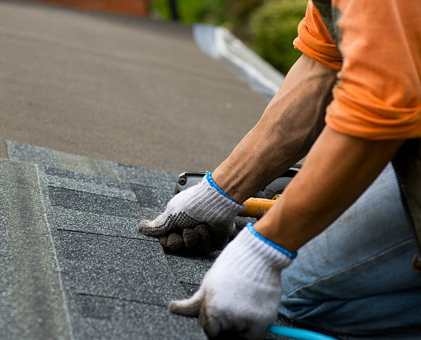 Best Roof Repair Services  in Spring Valley, IL