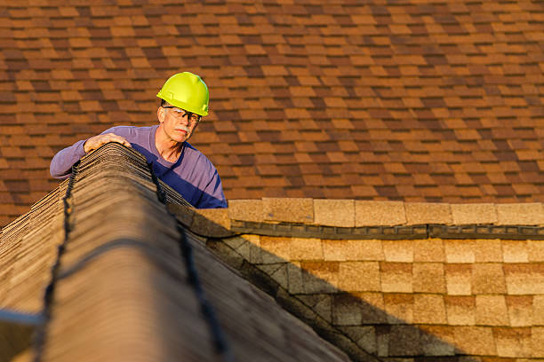 Best Flat Roof Repair Services  in Spring Valley, IL